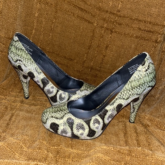 Reptile - Picture 3 of 5